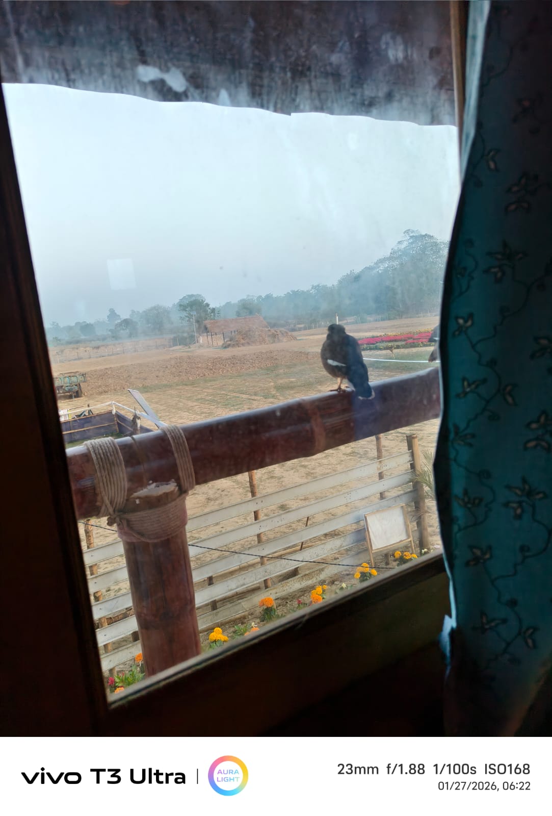 Farm Stay Views - Farmstay Beautiful views (10).jpeg